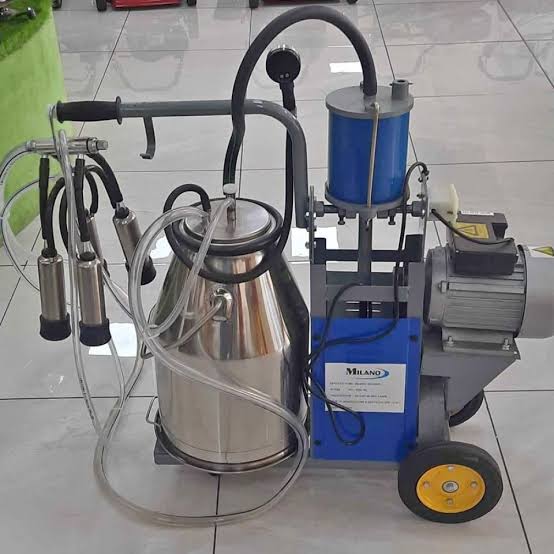 Milano Single Cow (1 Bucket) Milking Machine